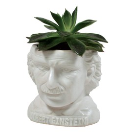 The Unemployed Philosophers Guild Albert Einstein Bust Succulent Planter - Plant Holder Pot for Small Cactus, Flowers, Herbs, and More