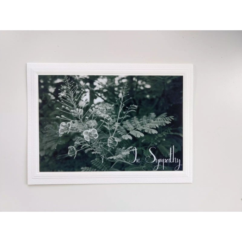 Unbranded 4 Variety Nature Themed Blank Note Cards w/ Envelopes,