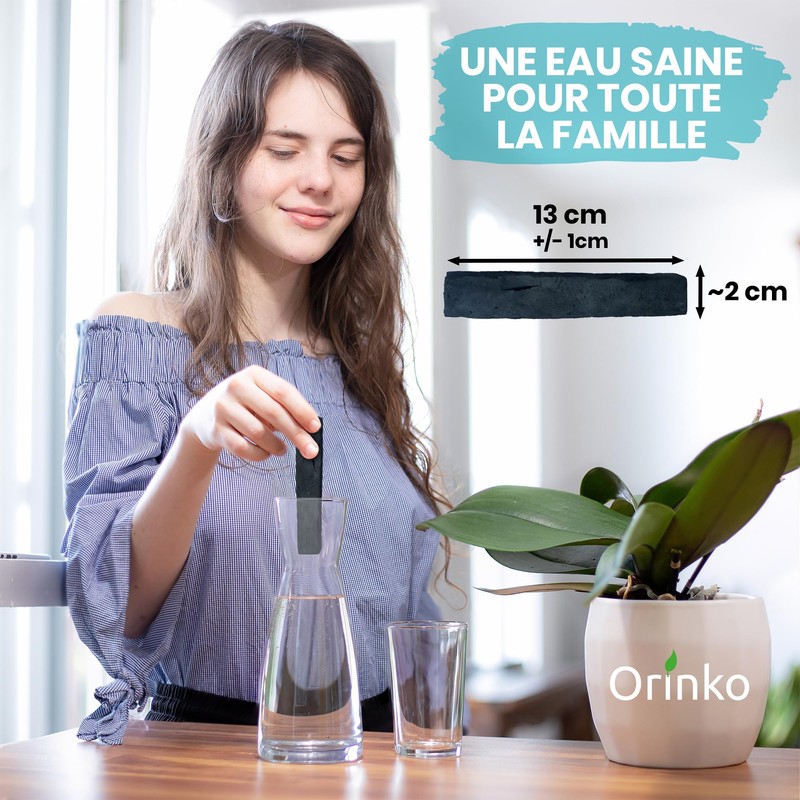 French Activated Carbon (Pack of 3)