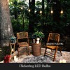 Brightech Ambience Pro with Flaming, Flickering LED Bulbs - Solar