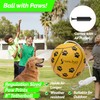 STERLING Sports Heavy Duty Tetherball Set with Pole, Ball &