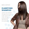 ALOXXI Clarifying Shampoo, 10.1 Fl Oz