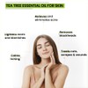 Rey Naturals Tea Tree Essential Oil for Skin, Hair and