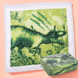 MIJOMA Set of 4 Magic Face Cloths Magic Towels Magic Towel Children's Gift Party Bag Tombola 100% Cotton Unfolds in Warm Water (Dinosaur)