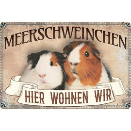 Weatherproof 14 x 20 cm Tin Sign Wall Sign Door Sign "Hier wohnen wir: Meerschweinchen" [German Language]