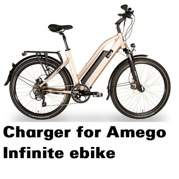 coming dat 3A fast power supply battery Charger for Amego