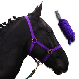 Halter for Horses with Knit, Lead Rope Horse with Halter, Halter Shetty, Pony, Thoroughbred, Full, X-Full with Knit (Purple, Pony)