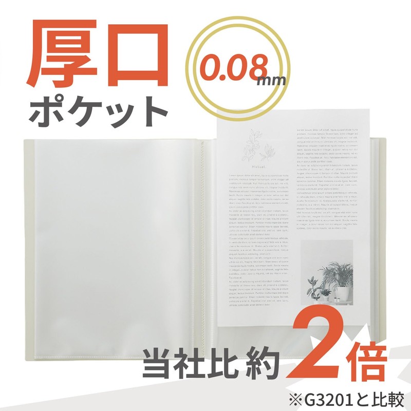 Lihit Lab Mutual Clear Book A4 S Shape, 40 Pockets,