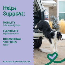 Wholesome Pride Wholesome Pride Hip and Joint Chews for Dogs, Mobility Bites Supplement with Glucosamine, Chondroitin, MSM, Anti-inflammatory Turmeric, and Vitamin C and E - Chicken Flavor - 30 to 90 Day Supply