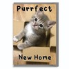 New Home Card, housewarming card (Purrfect)