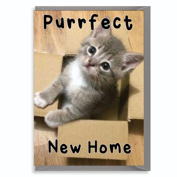 New Home Card, housewarming card (Purrfect)