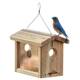 Kettle Moraine Cedar Hanging Bluebird Mealworm Feeder