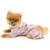 Cute Cartoon Waterproof Dog Raincoats for Small Dogs with Clear