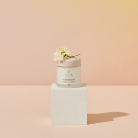 YOAN Yuan BQ Treatment Cream, 1.9 oz (55 g), Face Cream, Moisturizing, High Penetration, Plush, Smooth Skin