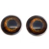 Medium Brown Dog Glass Eyes Realistic Animal Pair for Puppy