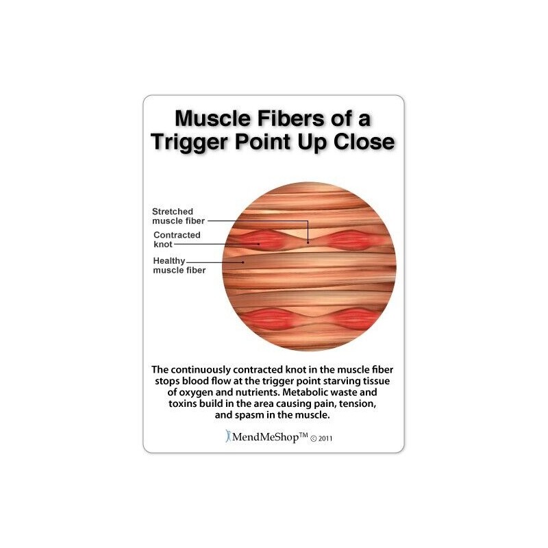 THERA CANE, ORIGINAL DEEP PRESSURE MASSAGER - PROUDLY MADE IN