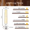 Weyolin T10 7.3 Inch LED Bulb 6W (60W Equivalent) 2700K