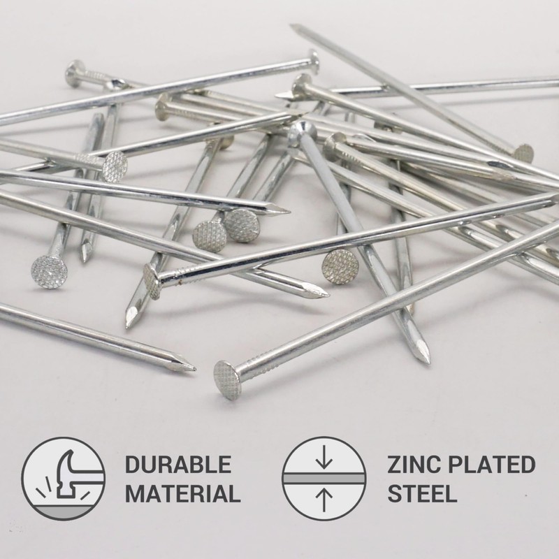 SKIR'CO (10 pcs) Zinc Plated Construction Nails 4.0 x 120
