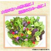 [No Need to Wash Vegetables] 6 Items "Random Set" Super
