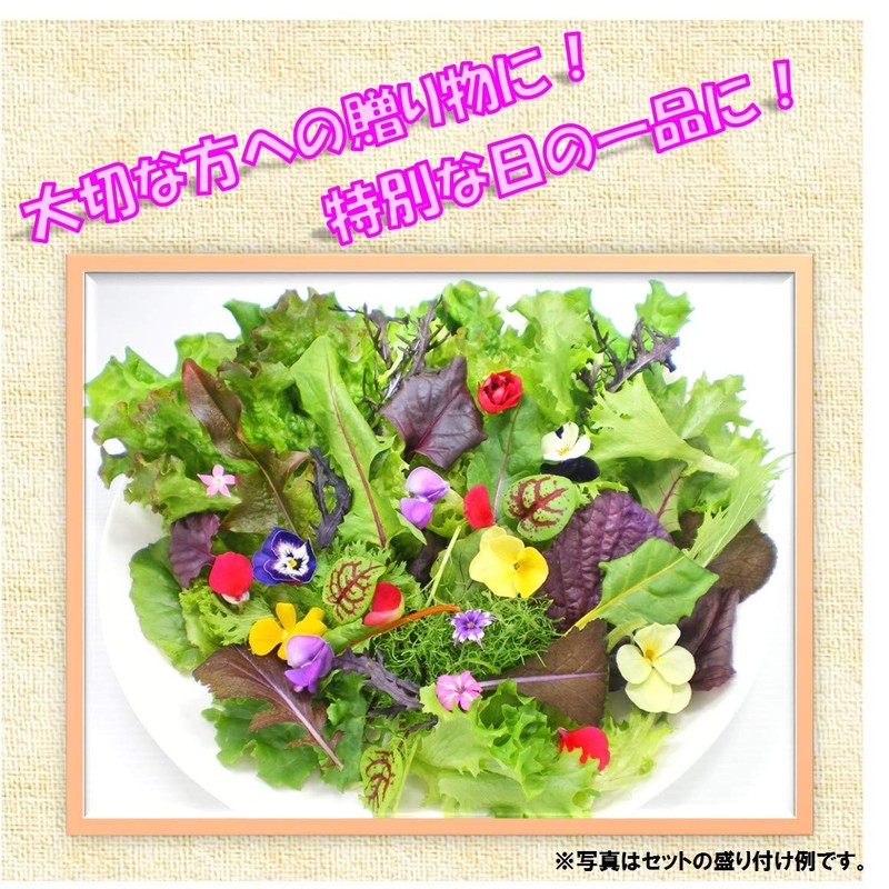 [No Need to Wash Vegetables] 6 Items "Random Set" Super