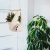Evbopa Sloth Gifts Sloth Plant Hanger for Succulent Pot Hanging