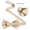 HISDERN Bow Tie Pre-Tied Men's Bow Tie with Pocket Square