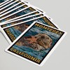 Lantern Press Monterey, California, Sea Otter, Mosaic (52 Playing Cards,