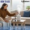 UpNature Breathe Essential Oils Blend (Large 2oz) Essential Oils for