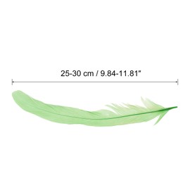 PATIKIL 10-12 Inch Rooster Feathers, 50 Pack Bulk Natural Feathers for Crafts Carnival Handwork Clothing Costumes Wedding Party Style 1, Green