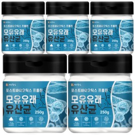 Breast milk derived lactic acid bacteria 250g 5 packs / 모유유래 유산균 250g 5개
