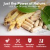 Korean Red Ginseng (6-Year Root) (Enhanced Ginsenoside) 120 Vegan Capsules