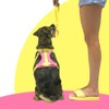 Pet Harness – No Pull Front & Rear Attachment |
