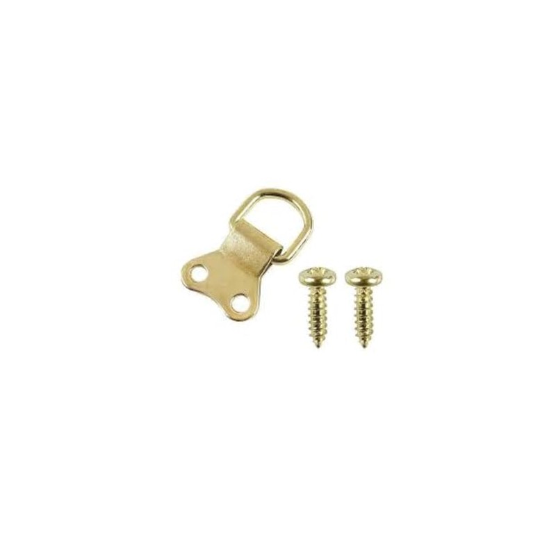 Thingymabob Large Brass D-Ring Picture Hangers with Screws, Set of
