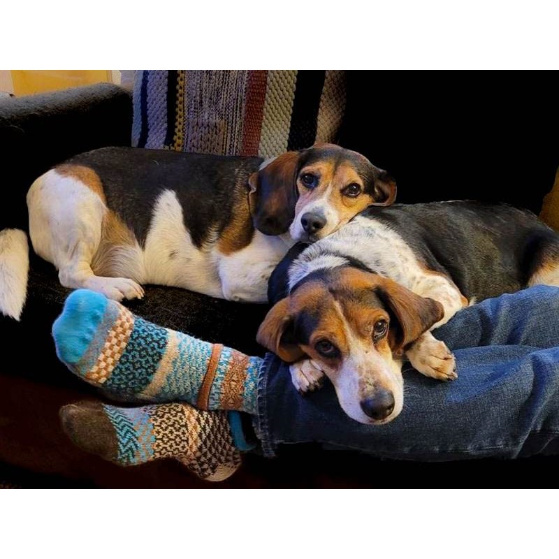 Solmate Socks - Mismatched Wool Crew Socks, Made in USA,