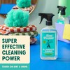 Aunt Fannie's All Purpose Household Cleaner, Multi-surface Spray, Powered by