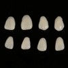 Fyearfly Temporary Tooth Repair, 70 Pieces/Bag Temporary Teeth Crowns Dental