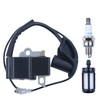 AUMEL Ignition Coil for Stihl BR600 BR550 BR500 BR700 Leaf