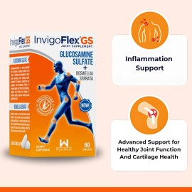 WynnPharm INVIGOFLEX® GS – Advanced Glucosamine Sulfate Joint Support Supplement - 60 Caps