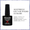 Allenbelle Semi-permanent Nail Polish UV LED Gel Kit (007)