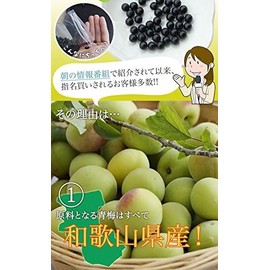 Fukami Umeten Ume flesh extract made from unripe plums, 180g (about 6 months, about 1080 tablets)