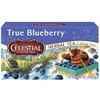 Celestial Seasonings Herb Tea True Blueberry 20 Bag (Pack of