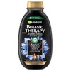 Garnier Botanic Therapy Activated Carbon and Black Cumin Oil Hair