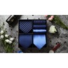 HISDERN Lot 3 PCS Ties for Men Business Ties and