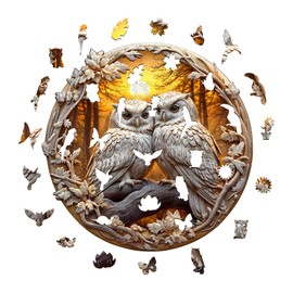 Wooden Puzzle Adults and Children, 3D Owl, 3 Circular Unique Puzzle, Wooden Puzzle Adults with Wooden Gift Box (S-100 Pieces)