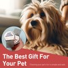 2 Pack Professional Stainless Steel Lice Comb, Reusable Lice and
