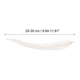 PATIKIL 10-12 Inch Rooster Feathers, 50 Pack Bulk Natural Feathers for Crafts Carnival Handwork Clothing Costumes Wedding Party Style 1, White