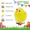 12PCs Easter Chicks, Mini Easter Chicks Yellow Easter Chenille Chicks