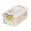 Pearl Metal Easy Clean HB-2625 Deep Airtight Storage Container, M,