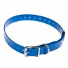 Blue polyurethane strap l65cm-L25mm