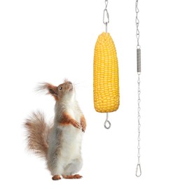 PATIKIL Hanging Squirrel Feeder 37inch, Outside Corn Cob Holder for Outdoors Backyard Squirrel Funny